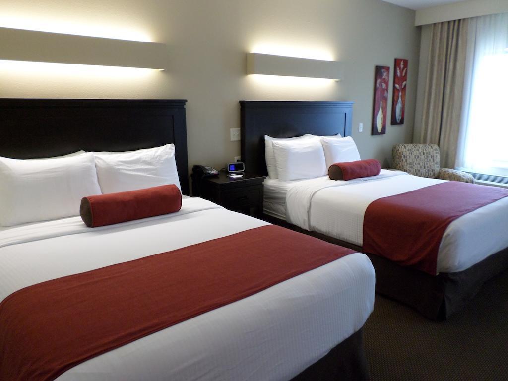 Queen Room with Two Queen Beds,67349249:JPEG
